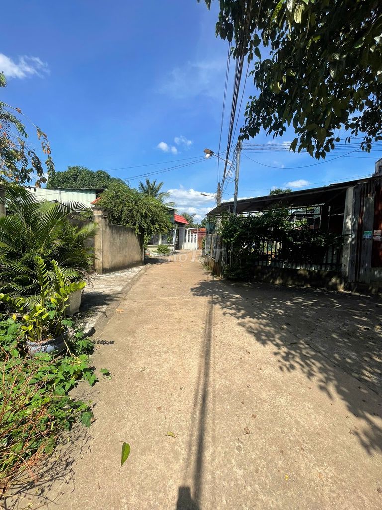 Nhà cấp 4 đường Nguyễn Huệ, Đồng Xoài 180m² giá 1 tỷ - Bán gấp, thương lượng ngay!