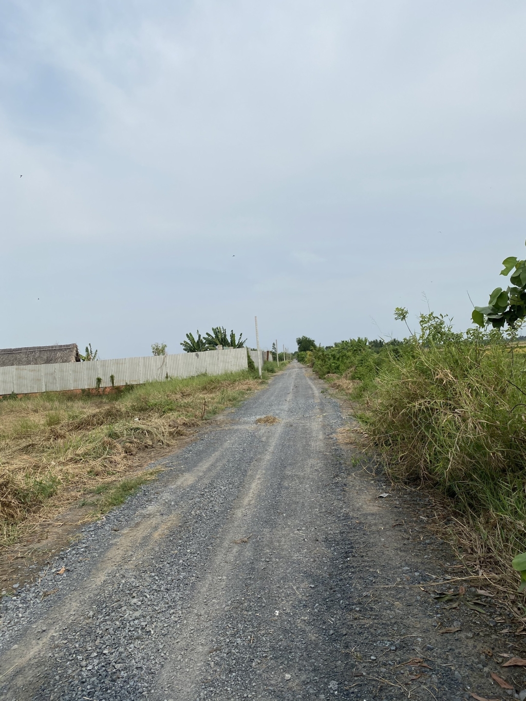 Đất nông nghiệp 3ha đường Kinh 10, Bình Chánh - Tiềm năng phát triển lớn!