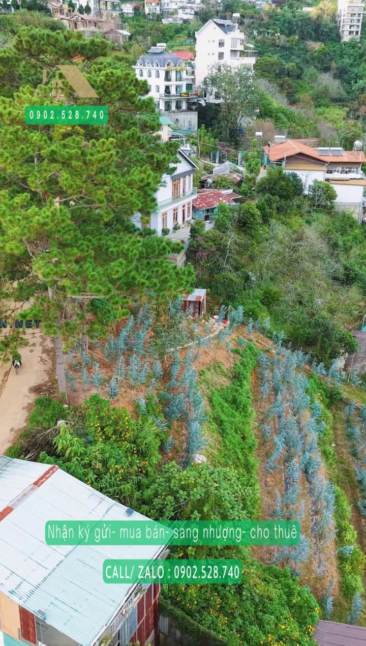 Đất xây dựng 3508m² tại Khe Sanh, Đà Lạt giá 3.5 tỷ - Tiềm năng đầu tư lớn!