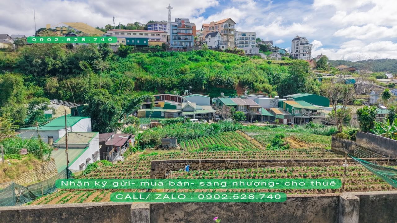 Đất nền đường An Bình, phường Xuân Hương, Đà Lạt 2.763m² - Tiềm năng đầu tư lớn!