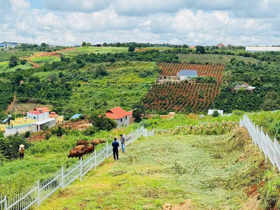 Đất nền 525m² Nam Ban, Lâm Hà giá 1.25 tỷ - Cơ hội đầu tư tuyệt vời!