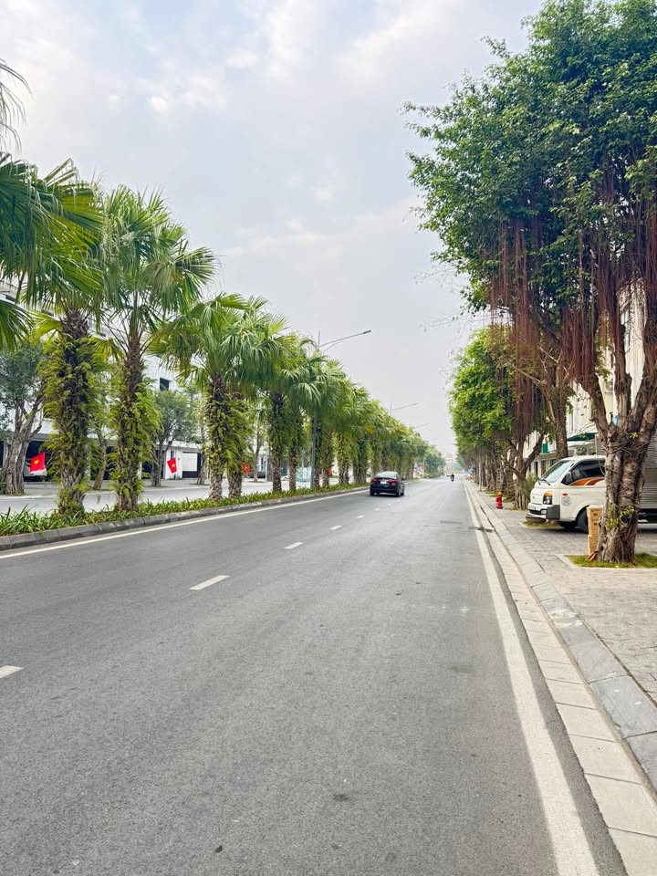 Shophouse Kinh Doanh Đại Lộ Lê Duẩn - 90m² Giá 10 Tỷ - Cơ Hội Đầu Tư Sinh Lời!