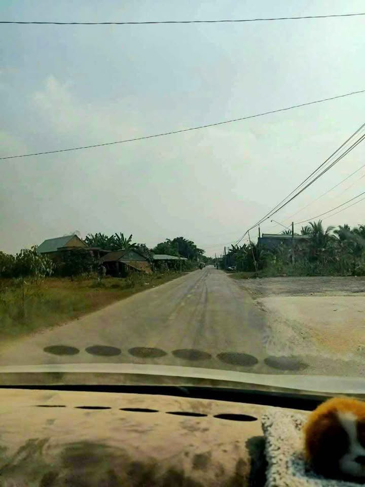 Đất nền ấp 5 xã Mỹ Bình, Đức Huệ 5832m² giá 720 triệu - Đầu tư lý tưởng!