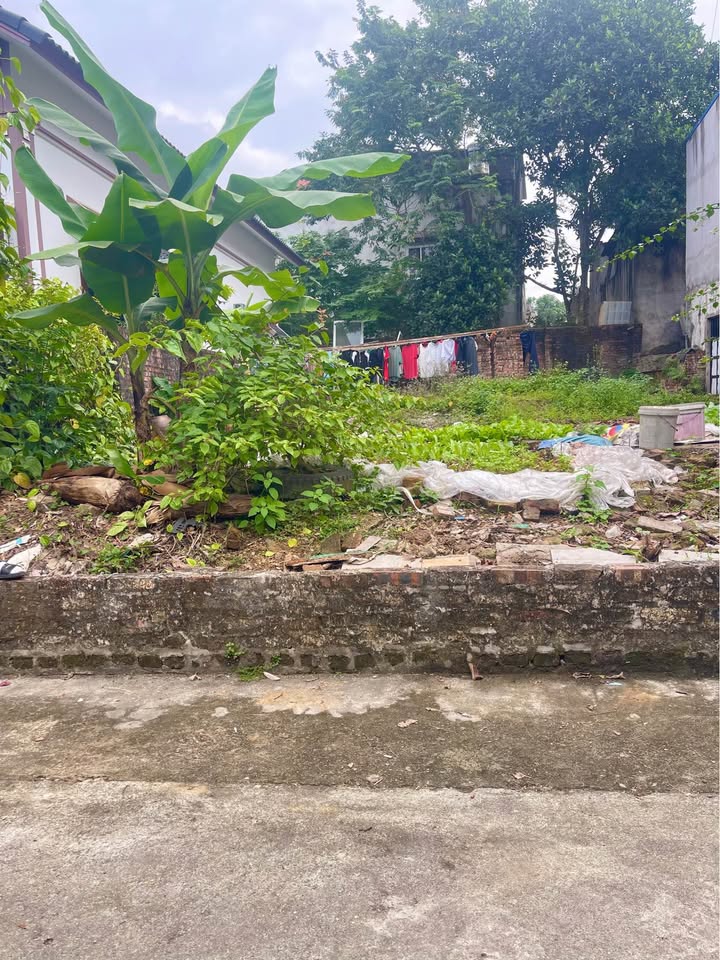 Đất nền Phú Xá Thái Nguyên 200m² giá thỏa thuận - Mặt tiền 10m, tiện ích đầy đủ!