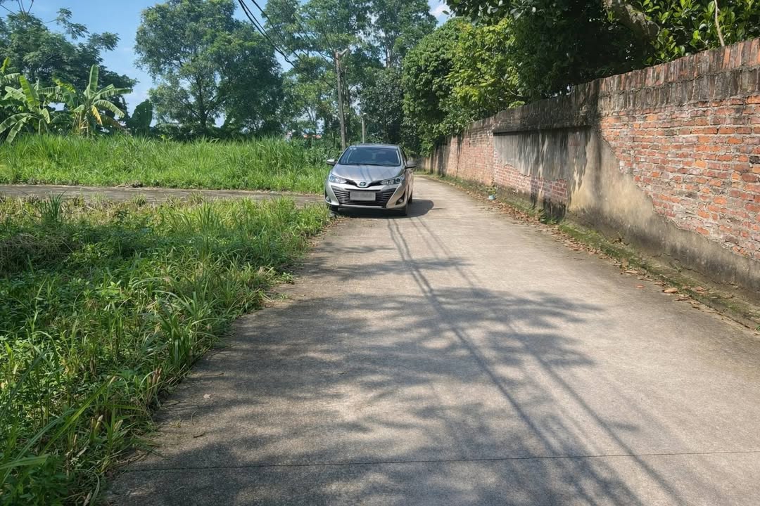 Đất thổ cư Tân Hương, Phổ Yên 85m² giá chỉ 1 tỷ - Đầu tư sinh lời ngay!