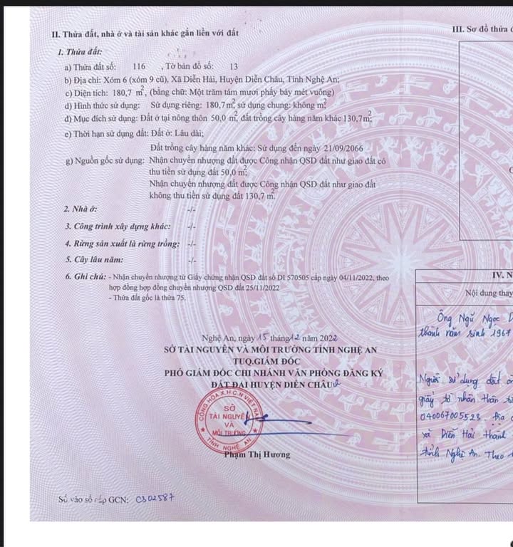 Đất nền Thôn 6 Diễn Hải 168m² giá chỉ 1 tỷ - Khu vực buôn bán sầm uất!