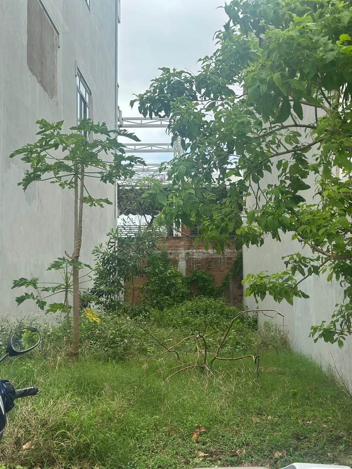 Đất nền Phạm Ngọc Thạch, Tuy Hoà 100m² giá 3.5 tỷ - Cơ hội đầu tư hấp dẫn!