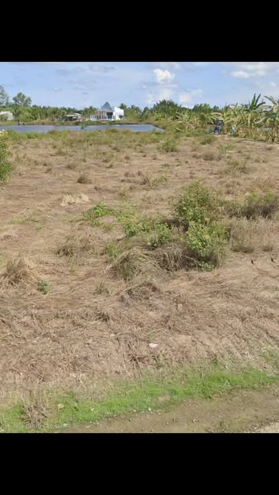 Đất nền mặt tiền đường Giá Rai 840m² giá 2.24 tỷ - Tiềm năng sinh lời cao!