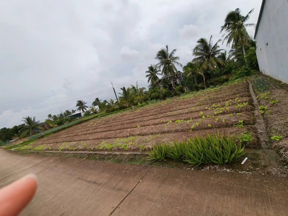 Đất nền Giồng Giữa - Hiệp Thành - Bạc Liêu 582.4m² giá chỉ 540 triệu - Đầu tư sinh lời ngay!