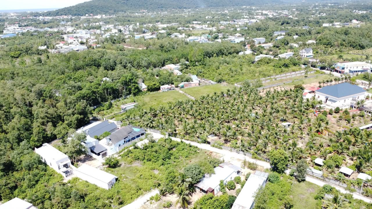 Đất thổ cư Phú Quốc 116m² giá 1.75 tỷ - Mặt tiền đường Cây Thông Trong, cơ hội đầu tư tuyệt vời!