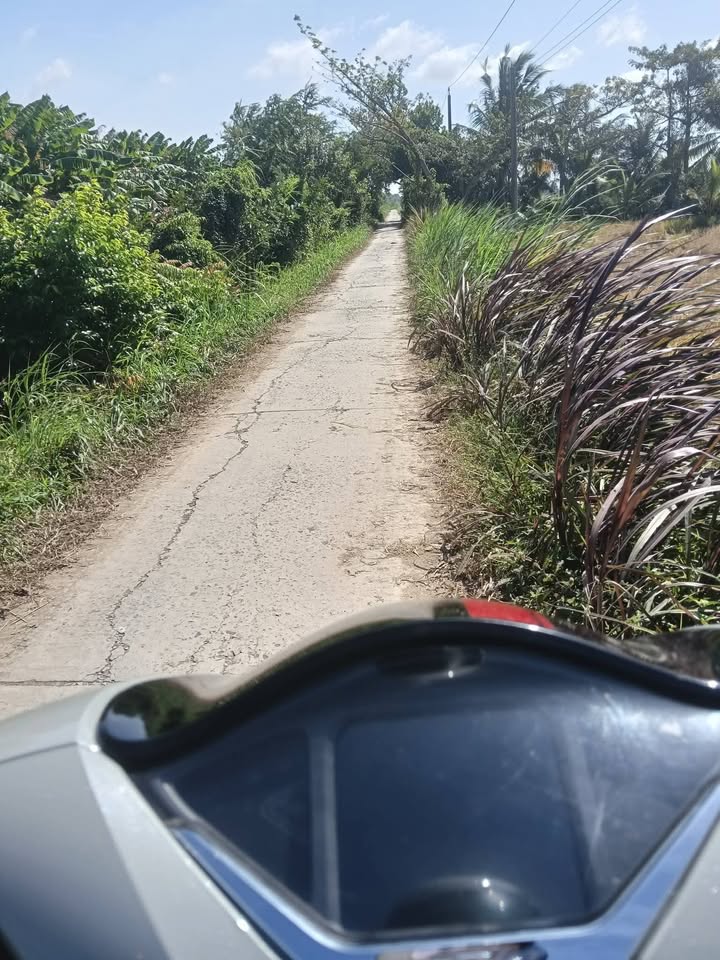 Đất mặt tiền xã Tân Hiệp, huyện Trà Cú, Trà Vinh 6000m² chỉ 720 triệu - Cơ hội đầu tư hấp dẫn!