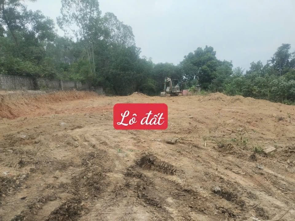 Đất nền Minh Quang, Tam Đảo 700m² giá 2 tỷ - Phân lô tách thửa tuyệt đẹp!