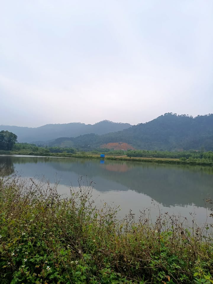 Đất nền 800m² Xã Trung Giã Sóc Sơn giá chỉ 1,1 tỷ - Tiềm năng nghỉ dưỡng tuyệt vời!