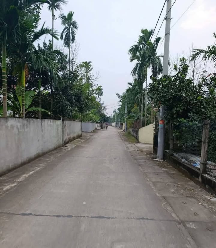 Đất nền An Ninh, Bình Lục 475m² giá 1.2 tỷ - Sổ đỏ chính chủ, phong thủy tốt!