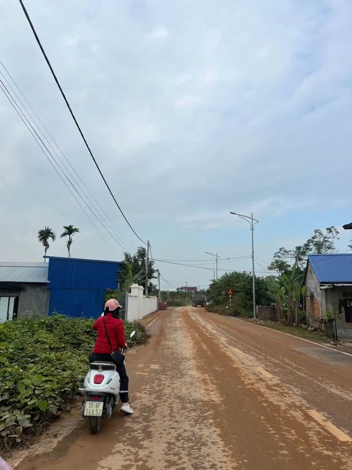 Đất nền Lâm Động 60m² giá 1.4 tỷ - Đầu tư sinh lời tiềm năng!