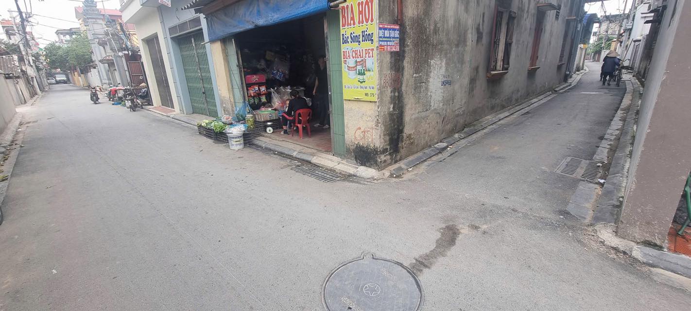 Đất nền Cổ Loa, Đông Anh 61m² giá 3 tỷ - Đầu tư sinh lời từ Vin Cổ Loa!