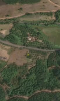 Đất thổ cư Lục Sơn Bắc Giang 8000m² giá thỏa thuận - Cơ hội đầu tư hiếm có!