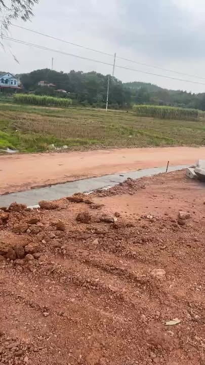 Đất nền Hương Sơn Lạng Giang 250m² giá 800 triệu - Pháp lý rõ ràng, đầu tư sinh lời!