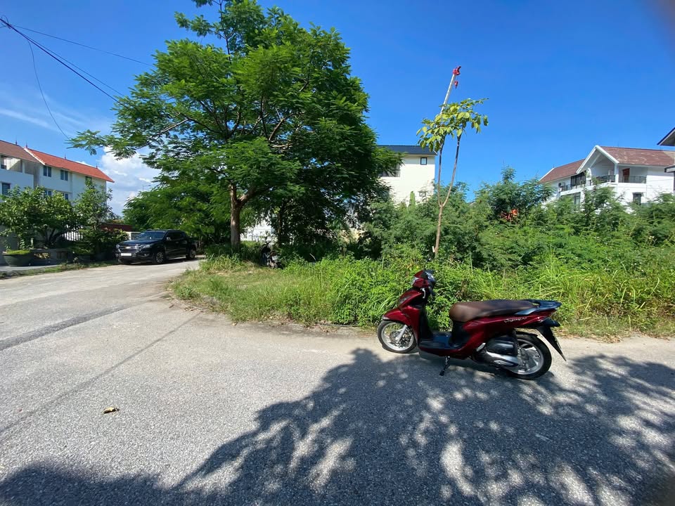 Đất lô góc 2 mặt đường Anh Dũng 7, Hải Phòng 247,5m² - Giá tốt chỉ 30 triệu/m²!