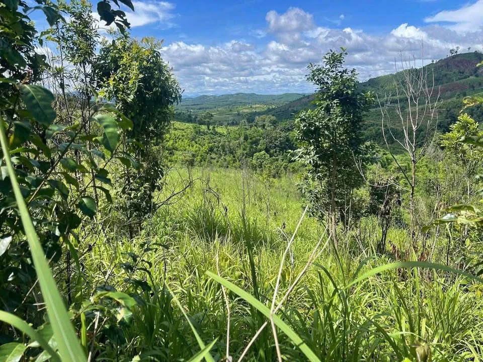 Đất nền Đăk Long Đăk Hà 9200m² giá chỉ 1xx triệu - Cơ hội đầu tư hiếm có!