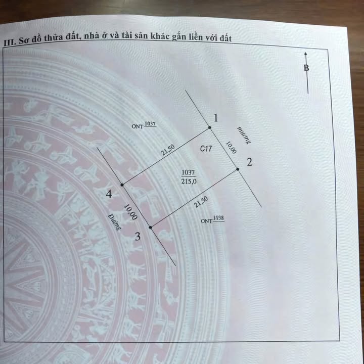 Đất mặt đường 24m khu đấu giá xóm 1 Nghi Phong, Vinh Lộc 215m² giá 9,xx tỷ - Cơ hội đầu tư tuyệt vời!