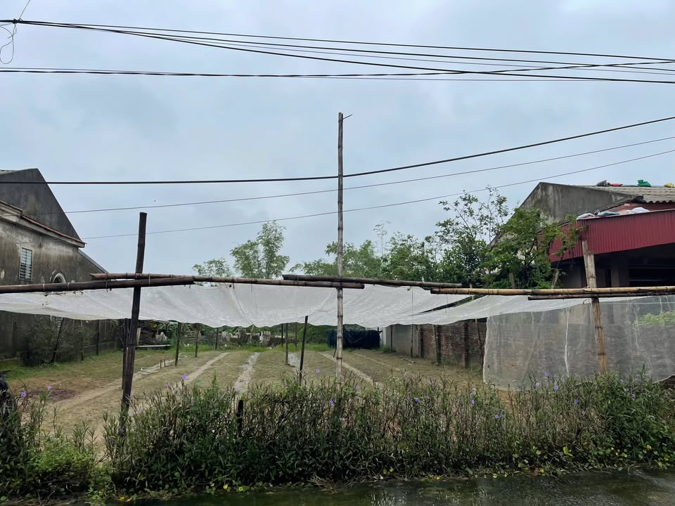 Đất nền Trung Mỹ Hưng, Vinh 52.2m² giá 1 tỷ - Vị trí đẹp, tiện ích đầy đủ!