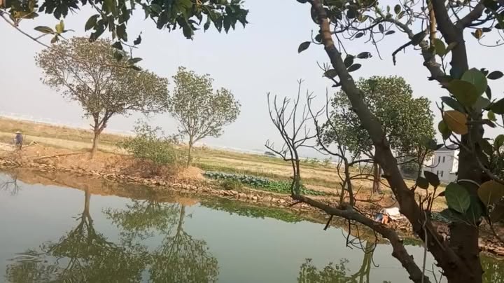 Đất nền Cao Đồng Yên Dũng 95m² giá thỏa thuận - Cơ hội đầu tư hấp dẫn!