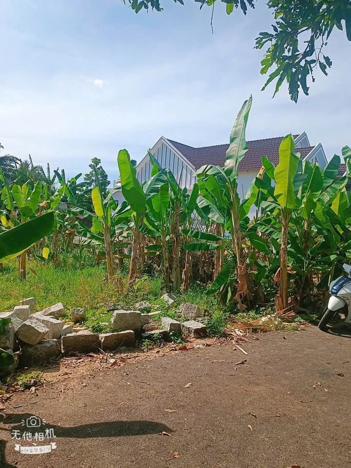 Đất đầu tư Suối Cát Cam Lâm 818m² giá 3 tỷ - Khu dân cư đông đúc