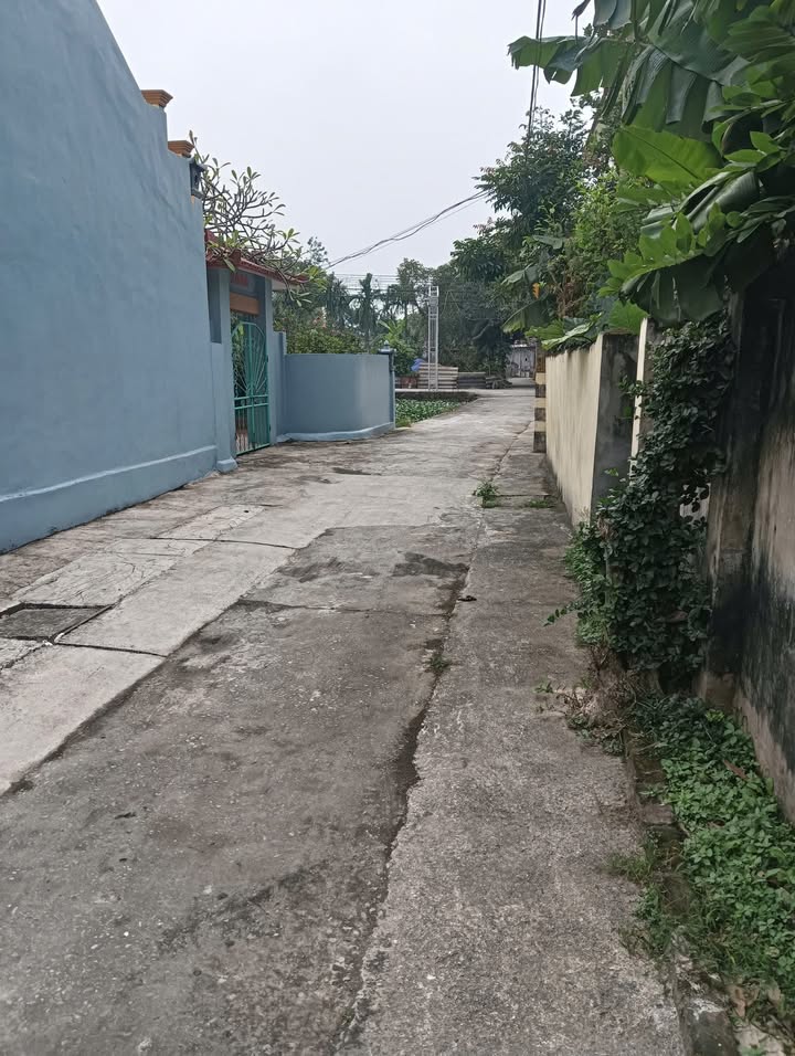 Đất nền Mỹ Thuận, Mỹ Lộc 90m² giá chỉ 1 tỷ - Sổ đỏ chính chủ!