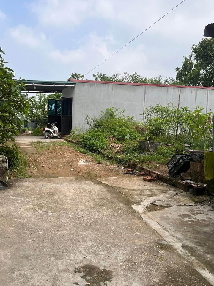 Đất nền Vân Phú Việt Trì 76.7m² giá 1.8 tỷ - Sổ đỏ chính chủ, oto vào tận cửa!