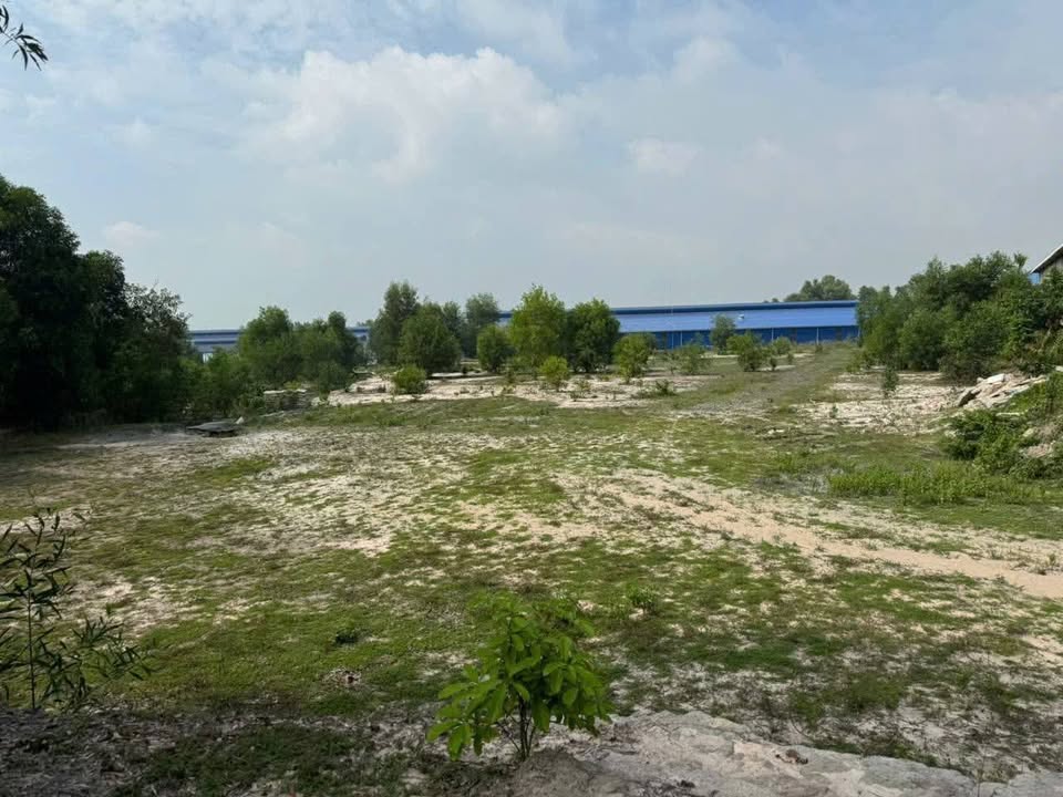 Đất SKC mặt tiền đường DH 436, Bắc Tân Uyên 41.000m² giá 105 tỷ - Pháp lý rõ ràng, đầu tư sinh lời!