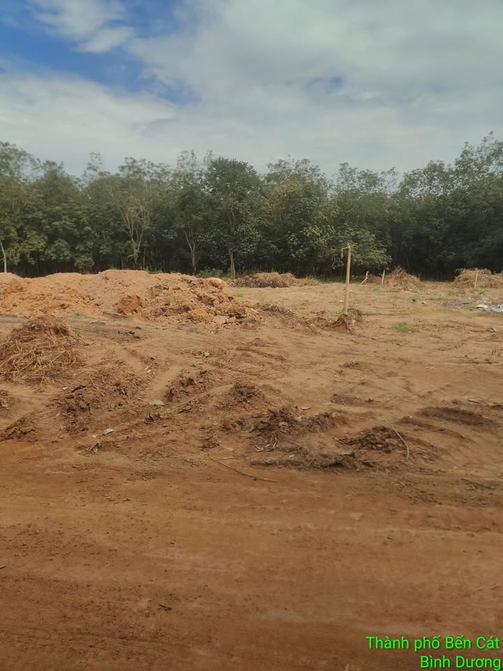 Đất nền An Điền Bến Cát 200m² giá 1.1 tỷ - Cơ hội đầu tư tuyệt vời!