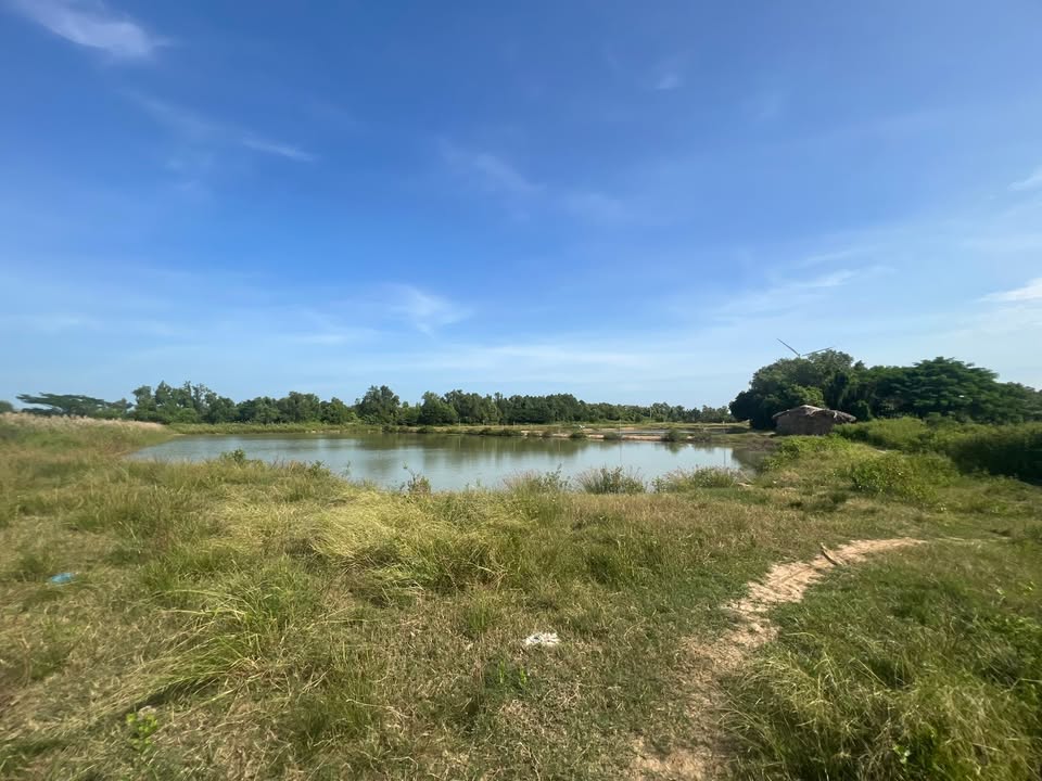 Đất ao tôm 130.000m² mặt tiền lộ nhựa tại Hòa Đông Vĩnh Châu - Giá chỉ 2.52 tỷ!