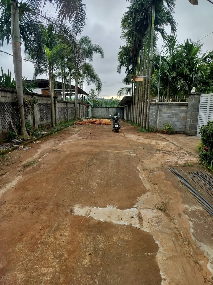 Bán đất thổ cư Thôn 3, Hòa Thắng, Phú Hòa 500m² giá 2.55 tỷ - Đầu tư tiềm năng!