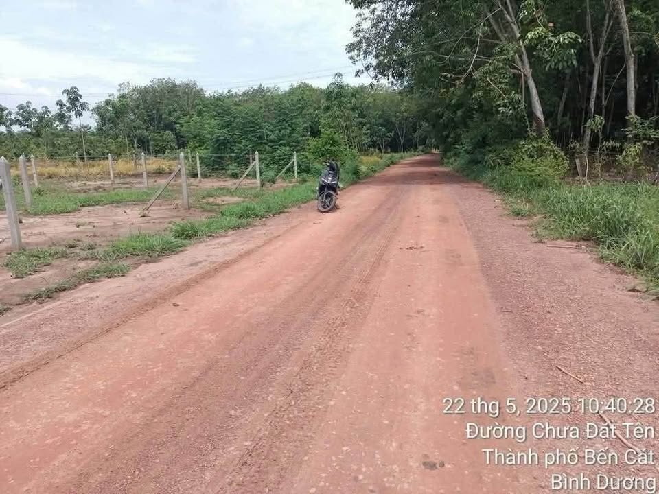 Đất nền Bàu Bàng 1573m² giá 3.65 tỷ - Vị trí đẹp, giao thông thuận lợi!