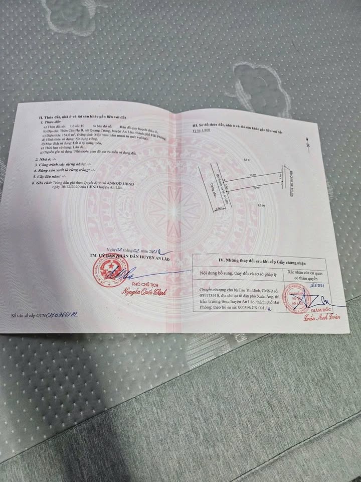 Đất nền Quang Trung An Lão 154m² giá 2.9 tỷ - Cơ hội đầu tư hiếm có!