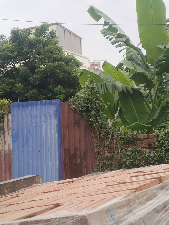 Đất nền Dốc 1 Tiên Hội, An Tiến, 232m² - Đầu tư sinh lời hấp dẫn!