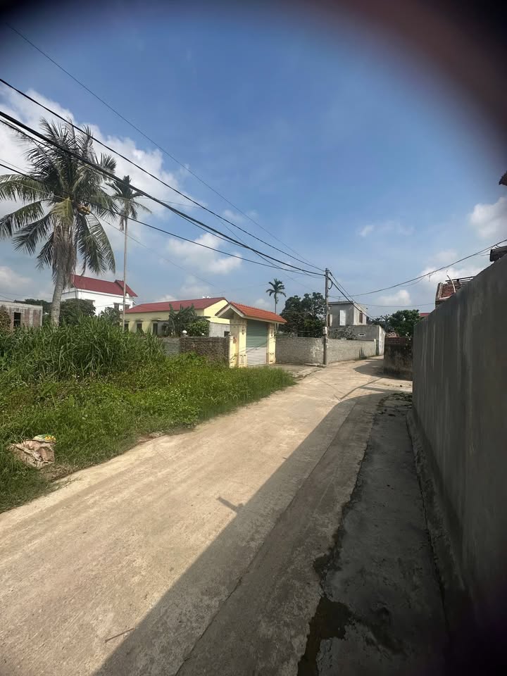 Đất nền An Thắng An Lão 70m² giá chỉ 500 triệu - Sổ đỏ chính chủ