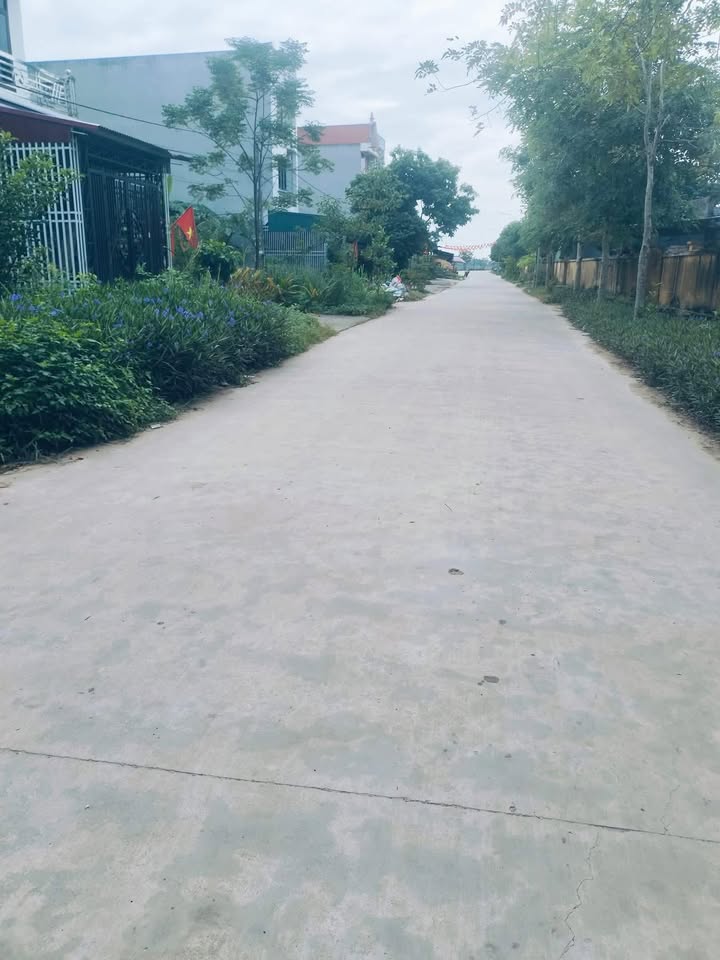 Lô đất Phi Mô - Lạng Giang 90m² giá chỉ 1.1 tỷ - Cơ hội đầu tư tuyệt vời!