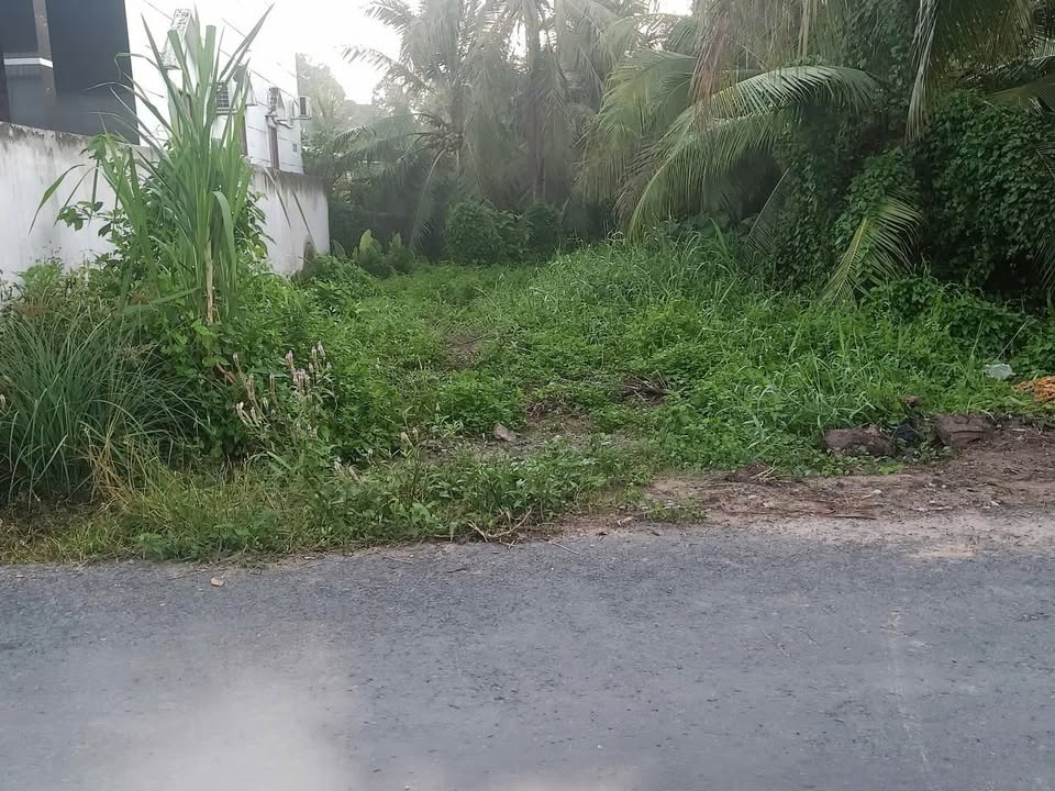 Đất nền đẹp mặt tiền đường Phan Văn Mười Hai, Tiền Giang 96m² - Giá chỉ 600 triệu!