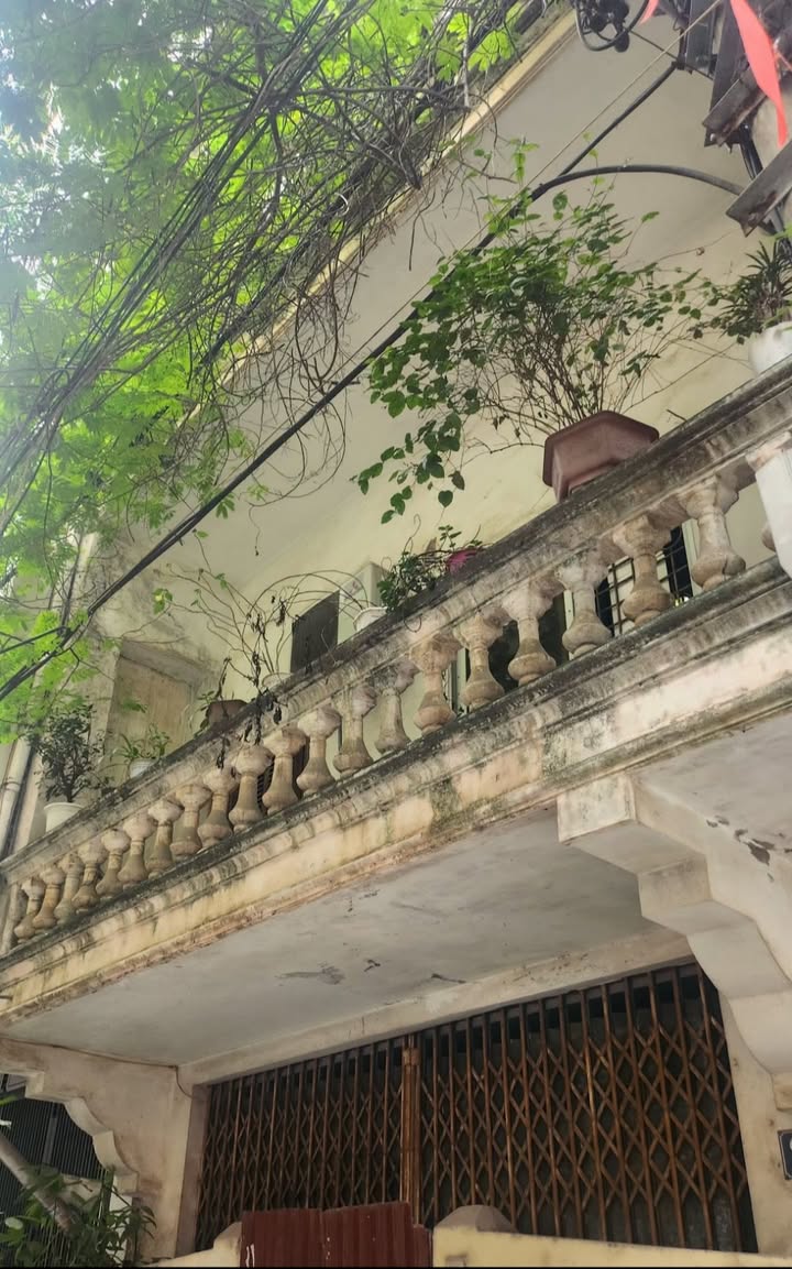 Bán FrontHouse Hoàn Kiếm, Đồng Xuân 98m² - Mặt tiền 6.5m, xây khách sạn tuyệt đẹp!