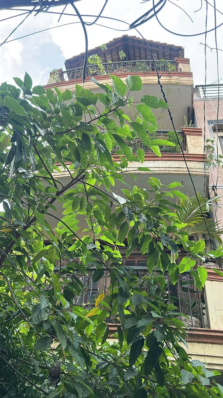 Biệt thự Pháp 4 tầng Lê Văn Sỹ 80m² giá 14 tỷ - Đầu tư tuyệt vời!