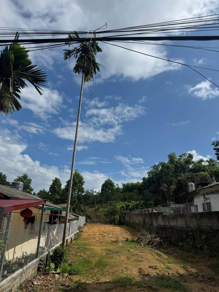 Đất thổ cư 100m² tại TDP Trung Môn 7, phường Minh Xuân - Giá chỉ 1 tỷ!