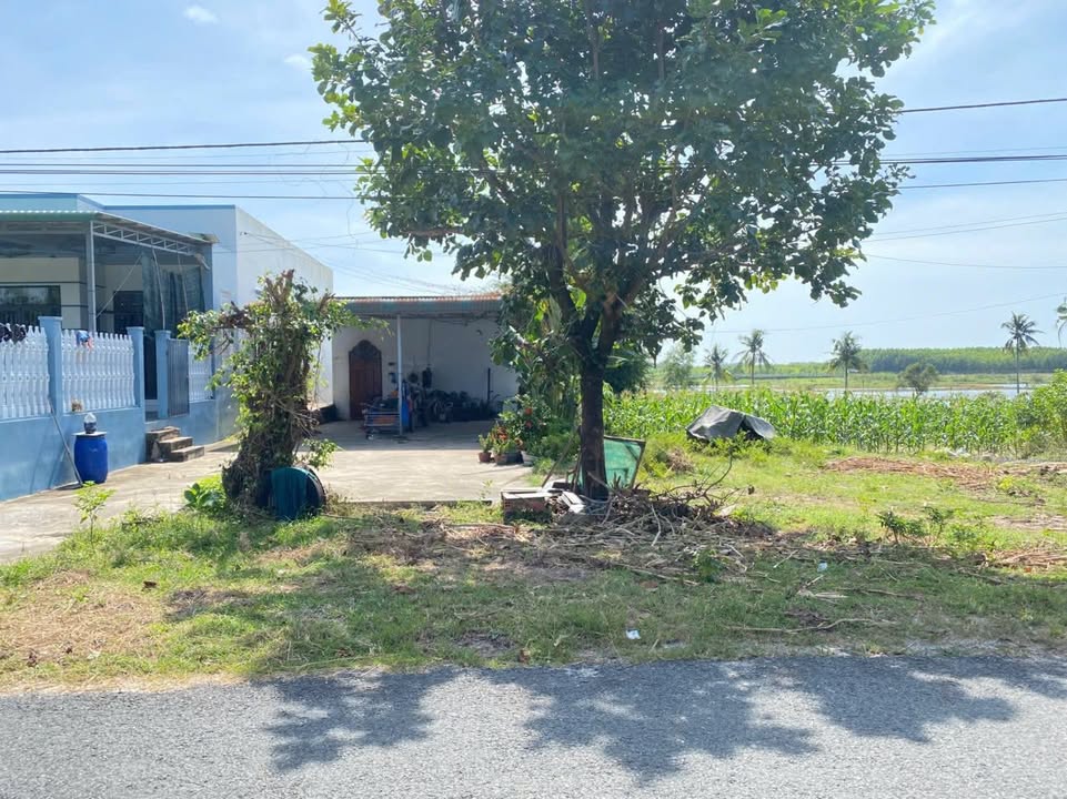 Đất mặt tiền đường Nguyễn Thông, La Gi 961m² giá 5 tỷ - Cơ hội đầu tư tuyệt vời!