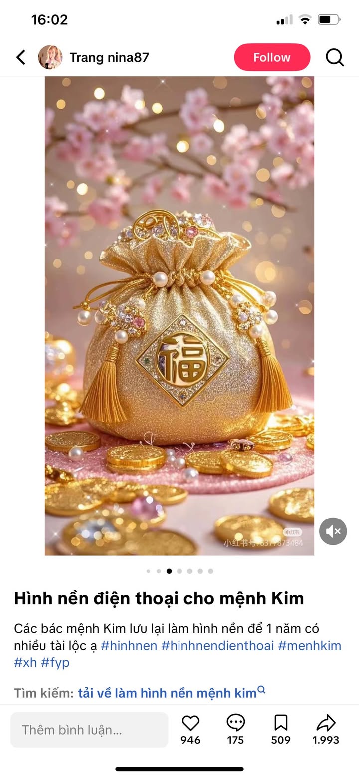 Đất nền An Phú Pleiku 225m² giá 500 triệu - Cơ hội đầu tư lý tưởng!