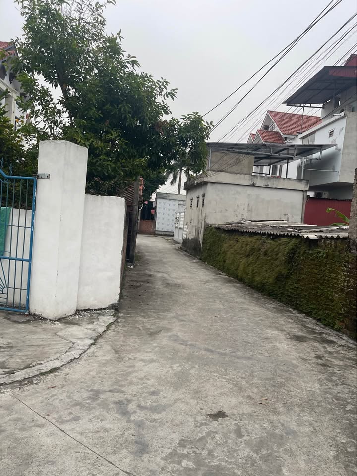 Lô đất đẹp Thượng Đáp Nam Hồng 100m² - Vị trí trung tâm tiện ích