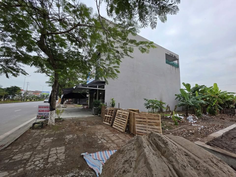 Đất nền 220m² đường Phạm Văn Đồng, Đồ Sơn - Sổ đỏ chính chủ, giá chỉ 11.44 tỷ