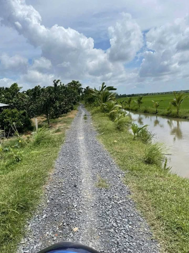 Đất vườn 2500m² xã Trung Hiệp, Vũng Liêm, Vĩnh Long - Giá chỉ 700 triệu VND!