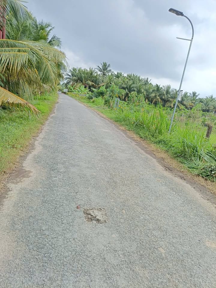 Đất nông nghiệp Vũng Liêm 4080m² giá 1.06 tỷ - Đầu tư sinh lời hấp dẫn!