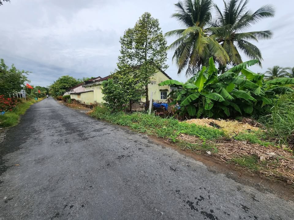 Đất nền đẹp 2 mặt tiền tại xã Thành Trung, Bình Tân, 79m² giá chỉ 390 triệu - Sổ đỏ trao tay!